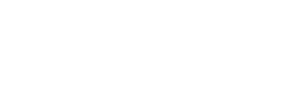 レイの失踪